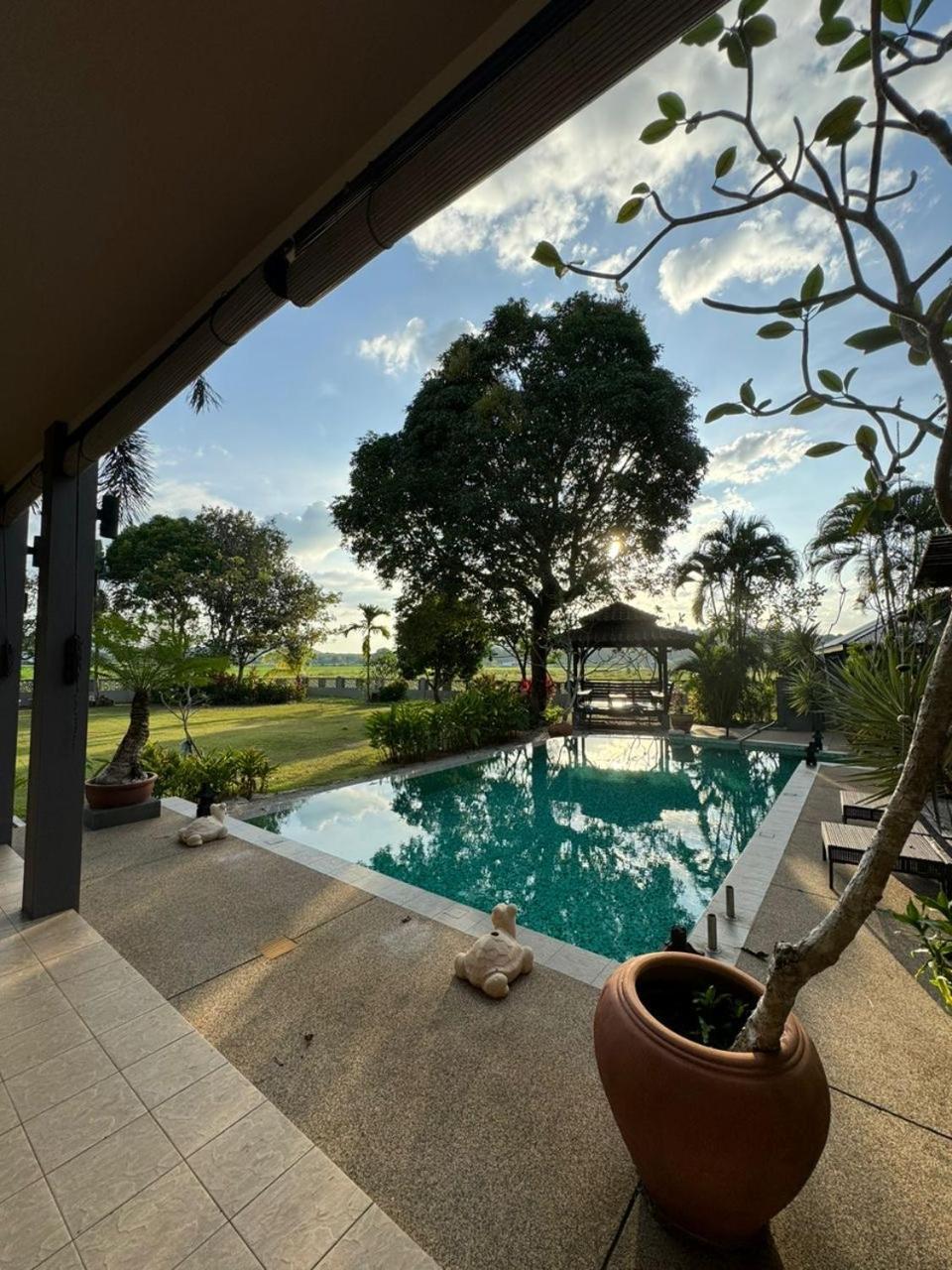 Laman Padi In Langkawi